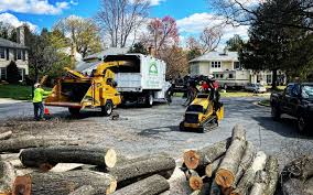 Reliable Tokeneke, CT Tree Care Solutions